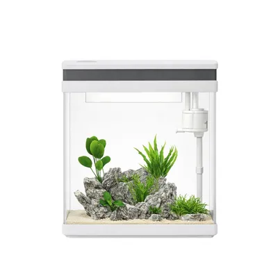 AquaOne Nano Aquarium avec filtration, LED et verre ultra blanc