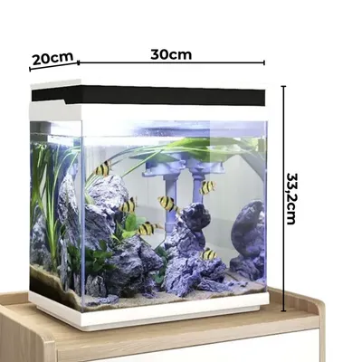 AquaOne Nano Aquarium avec filtration, LED et verre ultra blanc