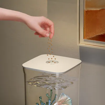 FurryFusion Aquarium de bureau pour poissons Betta
