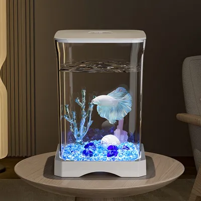 FurryFusion Aquarium de bureau pour poissons Betta