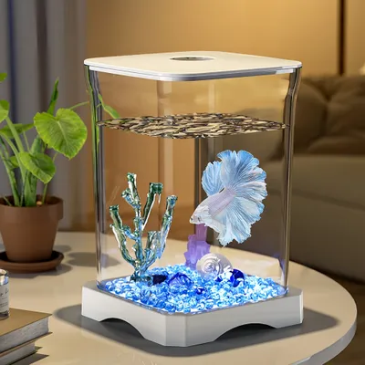 FurryFusion Aquarium de bureau pour poissons Betta