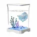 FurryFusion Aquarium de bureau pour poissons Betta