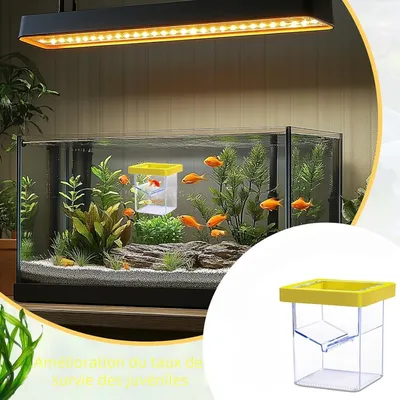 Zoomtopia Boîte d'isolation pour poissons d'aquarium