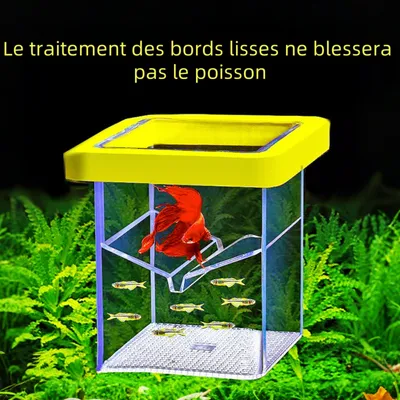 Zoomtopia Boîte d'isolation pour poissons d'aquarium