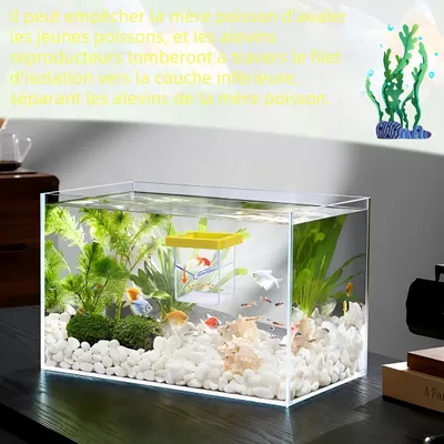 Zoomtopia Boîte d'isolation pour poissons d'aquarium