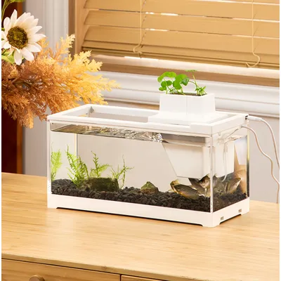 FurryFusion Aquarium de bureau à eau circulante