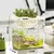 FurryFusion Aquarium de bureau en plastique transparent
