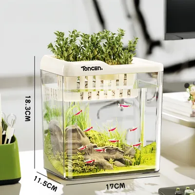 FurryFusion Aquarium de bureau en plastique transparent