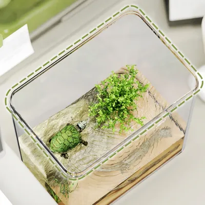 FurryFusion Aquarium de bureau en plastique transparent