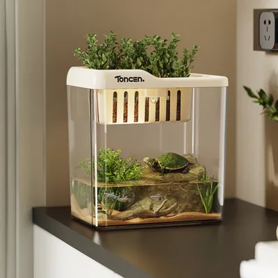 FurryFusion Aquarium de bureau en plastique transparent