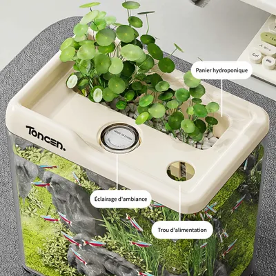 FurryFusion Aquarium de bureau en plastique transparent