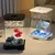 FurryFusion Aquarium de bureau pour poissons Betta