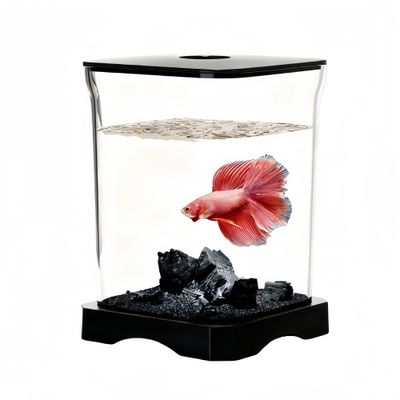 FurryFusion Aquarium de bureau pour poissons Betta