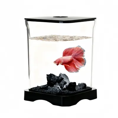 FurryFusion Aquarium de bureau pour poissons Betta