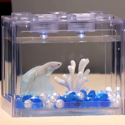 FurryFusion Aquarium à poissons betta en forme de bloc de construction