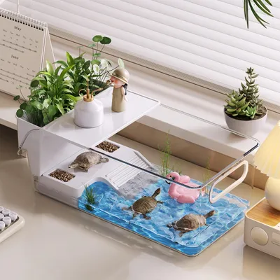 FurryFusion Aquarium de bureau pour tortues