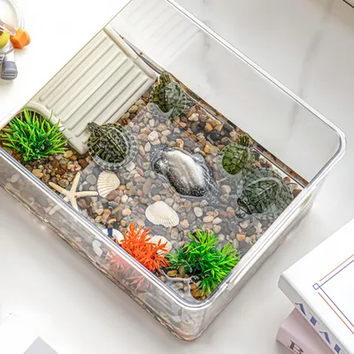 FurryFusion Aquarium de bureau pour tortues