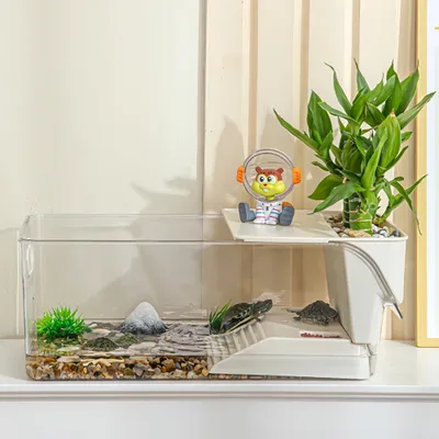 FurryFusion Aquarium de bureau pour tortues