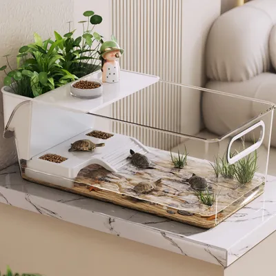 FurryFusion Aquarium de bureau pour tortues