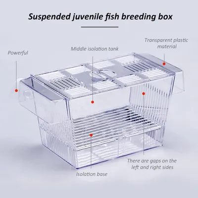 PetTribes Box flottante double paroi avec ventouse - Élevage alevins