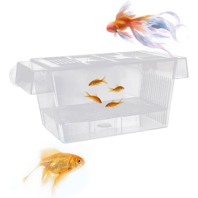 PetTribes Box flottante double paroi avec ventouse - Élevage alevins