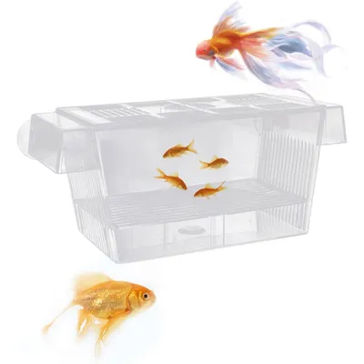 PetTribes Box flottante double paroi avec ventouse - Élevage alevins