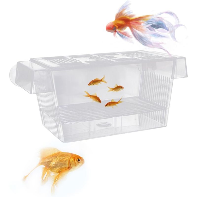 PetTribes Box flottante double paroi avec ventouse - Élevage alevins