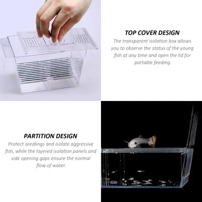 PetTribes Box flottante double paroi avec ventouse - Élevage alevins