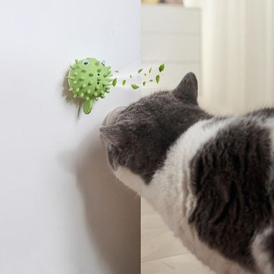 PetTribes Jouet à Lècher et Mâcher Adhésif pour Chat Vert