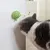PetTribes Jouet à Lècher et Mâcher Adhésif pour Chat Vert