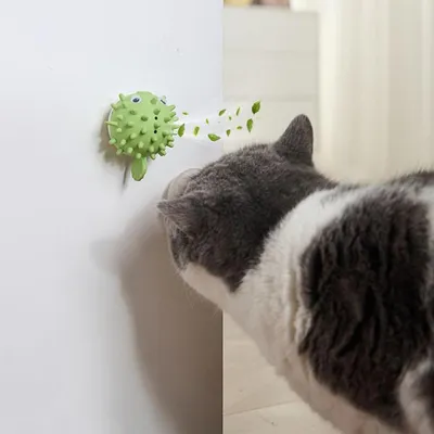 PetTribes Jouet à Lècher et Mâcher Adhésif pour Chat Vert