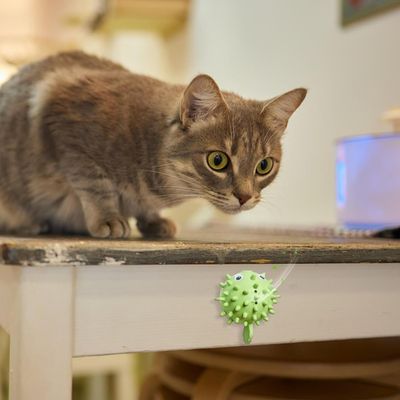 PetTribes Jouet à Lècher et Mâcher Adhésif pour Chat Vert