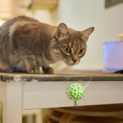 PetTribes Jouet à Lècher et Mâcher Adhésif pour Chat Vert