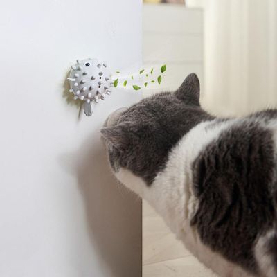 PetTribes Jouet à Lècher et Mâcher Adhésif pour Chat Gris