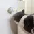 PetTribes Jouet à Lècher et Mâcher Adhésif pour Chat Gris
