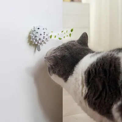 PetTribes Jouet à Lècher et Mâcher Adhésif pour Chat Gris