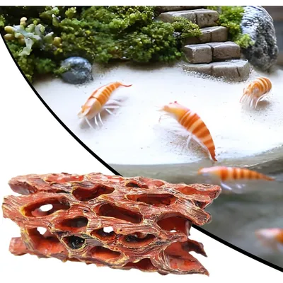 PetTribes Grotte en Mousse Aquatique - Habitat Biofilm pour Crevettes