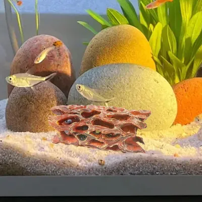 PetTribes Grotte en Mousse Aquatique - Habitat Biofilm pour Crevettes
