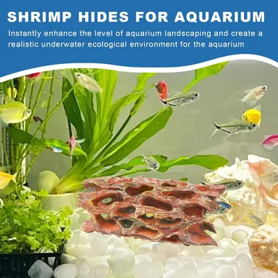 PetTribes Grotte en Mousse Aquatique - Habitat Biofilm pour Crevettes