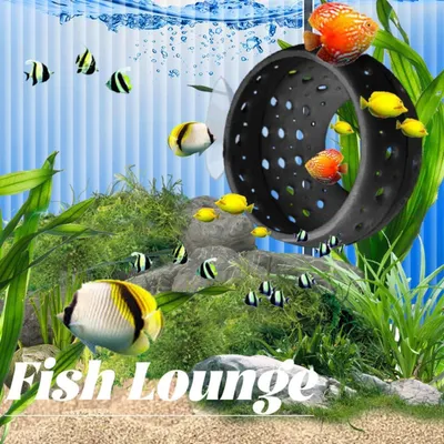 PetTribes Grotte Décorative Cachette pour Poissons