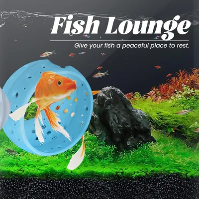 PetTribes Grotte Décorative Cachette pour Poissons