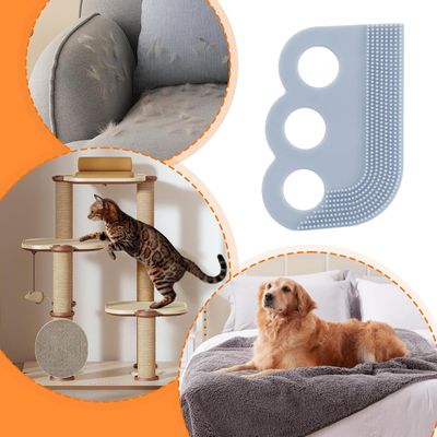 PetTribes Épilateur Anti-Poils pour Chien et Chat Gris