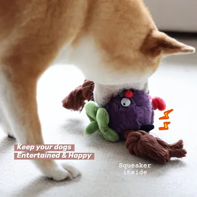 PetTribes Jouet Durable pour Chien Mâcheur Agressif - Anti-ennui