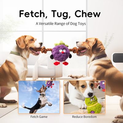 PetTribes Jouet Durable pour Chien Mâcheur Agressif - Anti-ennui