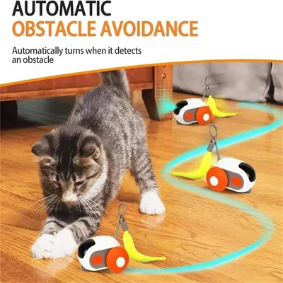 PetTribes Jouet interactif souris électrique pour chat