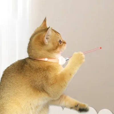 PetTribes Smart Collar : Jouet Laser Auto pour Chat Rose