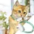 PetTribes Smart Collar : Jouet Laser Auto pour Chat Vert