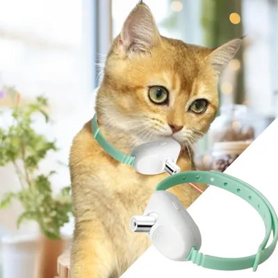 PetTribes Smart Collar : Jouet Laser Auto pour Chat Vert