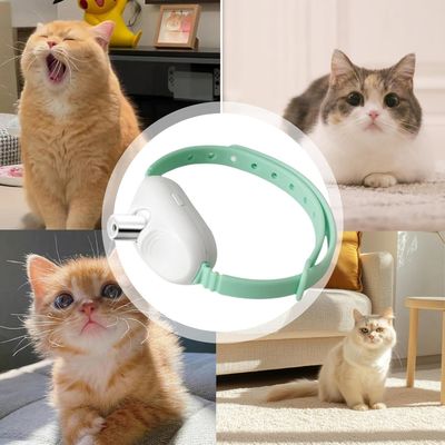 PetTribes Smart Collar : Jouet Laser Auto pour Chat Vert