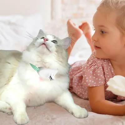 PetTribes Smart Collar : Jouet Laser Auto pour Chat Vert